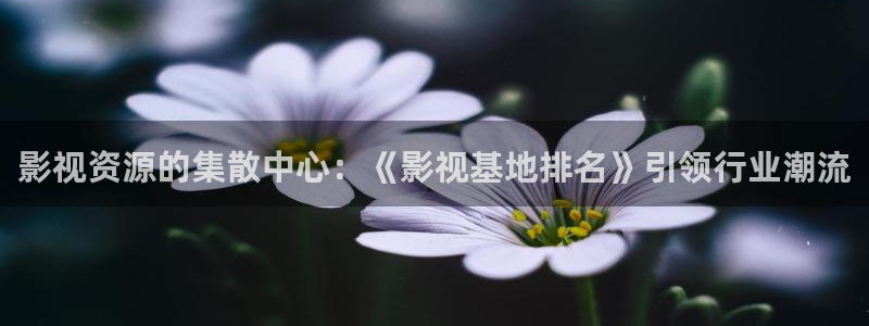 草民影院宅急看：影视资源的集散中心：《影视基地排名》引领行业潮流
