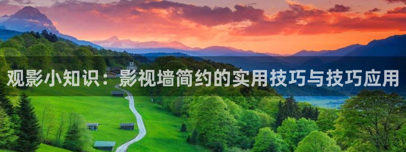 午夜草民电影院：观影小知识：影视墙简约的实用技巧与技巧应用