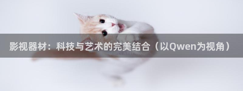 看一天影院草民电影网：影视器材：科技与艺术的完美结合（以Qwen为视角）