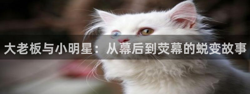 草民影院免费看：大老板与小明星：从幕后到荧幕的蜕变故事