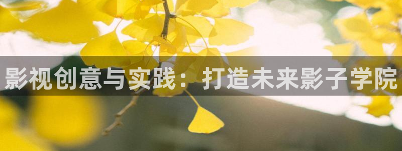 草民影视：影视创意与实践：打造未来影子学院
