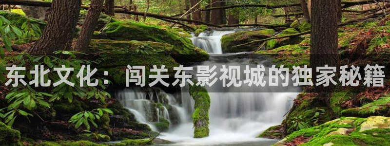 神马草民电影网：东北文化：闯关东影视城的独家秘籍